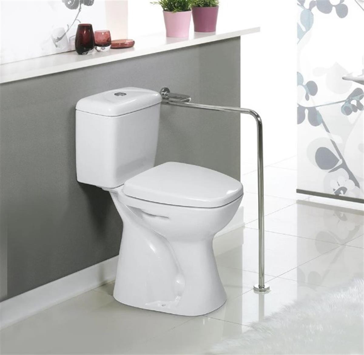 Turkuaz Bedensel Engelli Lila Klozet Takımı Set018016 küçük görsel