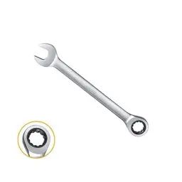 Ingco Endüstriyel Kombine Cırcır Anahtar 6mm Ing-hcspar061 görseli