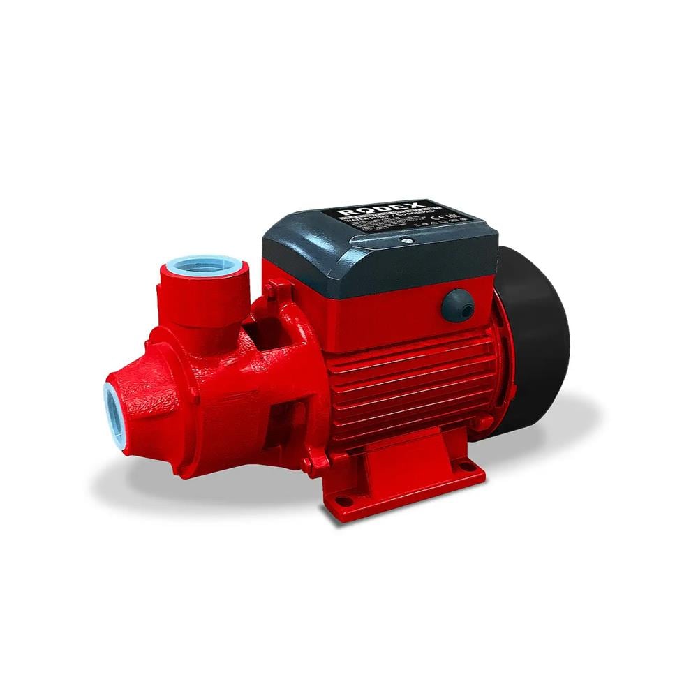 Rodex Su Pompası 750W Rdx874 küçük görsel