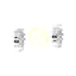 Balatlı Poliamid Tekerlek 160X50 Beyaz Yp-Tr-Tek-Ny160x50 görseli