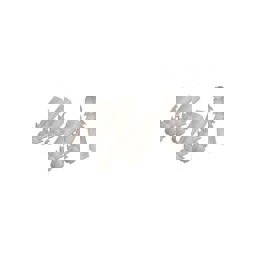 Plastik Dübel 7 mm 50'li Paket 16052 görseli