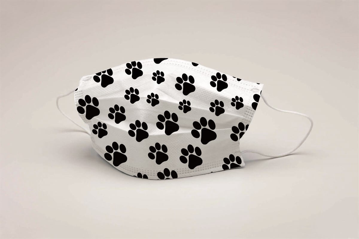 Mode Çocuk Full Ultrasonic Telli Maske 30001 (5'li Paket) küçük görsel