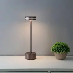 Forlife Göksu Dekoratif Şarjlı Led Masa Lambası Rose Gold FL-8065 görseli