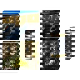 Forlife Solar Duvar Apliği 3W FL-3242 küçük görsel