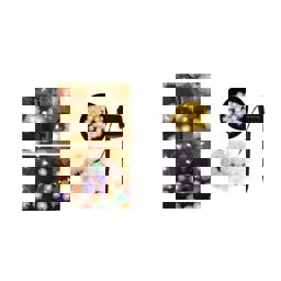 Forlife 20W Solar 5 Metre 7 Mod Işık Zinciri Rgb Fl-3260 küçük görsel