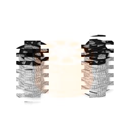 Hortum Led 120 Ledli 4040 100 Metre Fl-5071 görseli