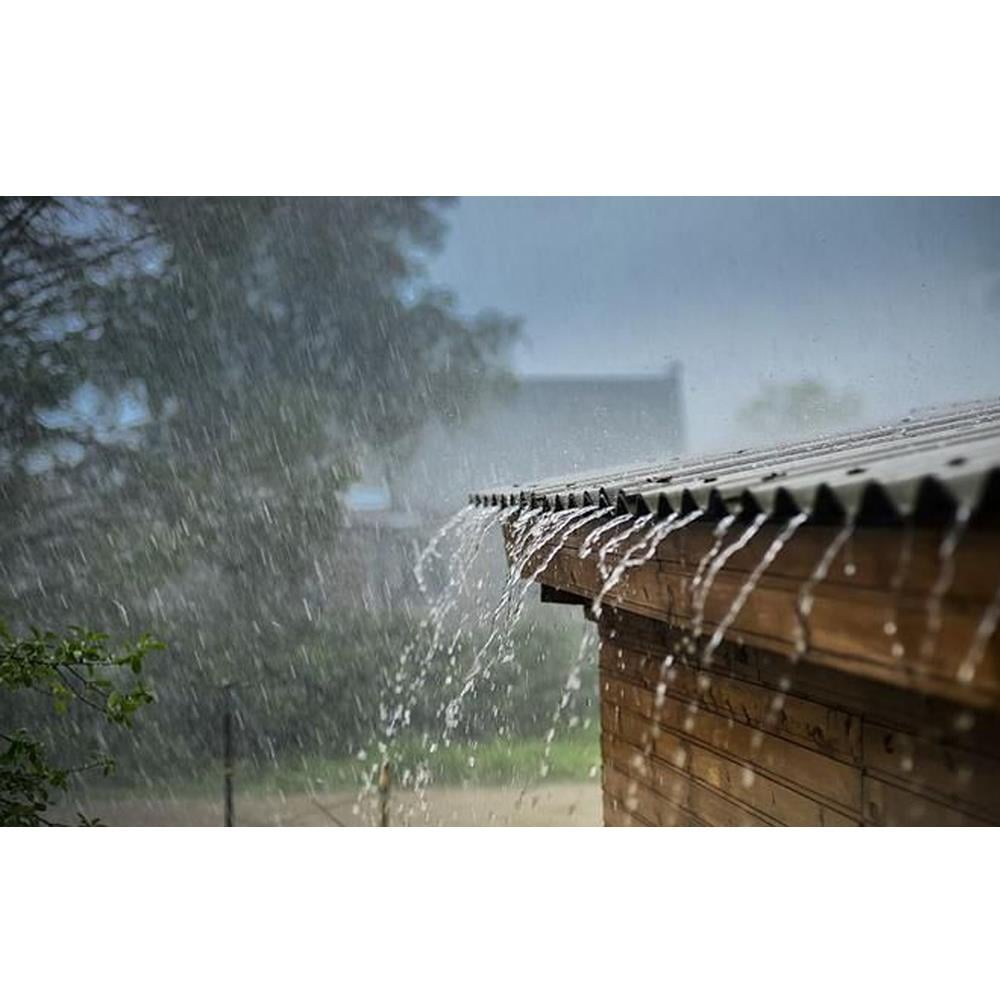 Zbs Şok Guard 10 Kg - (Selülozik Bazlı, UV Dayanımı Yüksek, Şeffaf Su İzolasyonu) küçük görsel