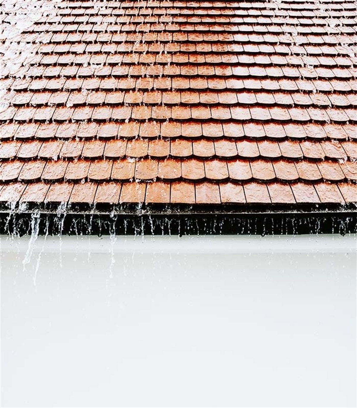 Zbs Water Cut BN 12 Kg - (Beton zeminlerde, mükemmel su izolasyonu gücü) küçük görsel