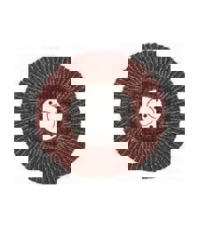 Bay-Tec Flap Disk Zımpara 115x22mm 60 Kum küçük görsel