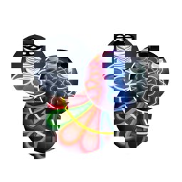 Forlife Neon Led Mavi 50 Metre Fl-5077 küçük görsel