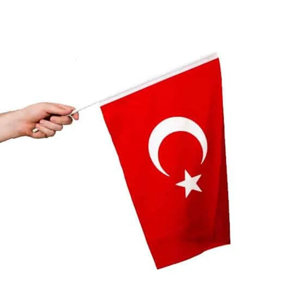 Sopalı Kumaş Türk Bayrağı 20x30cm görseli