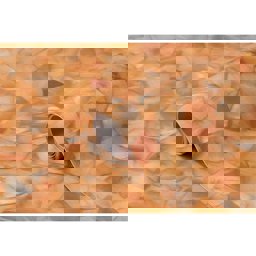 Bigpoint Yapışkanlı Folyo 45cm X 2metre Mermer Desen No:38 küçük görsel