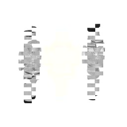 GPD 1/2" Rakorsuz Su Basınç Regülatörü (iç X İç Dişli) Reg03 küçük görsel