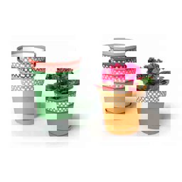 Bee Home Desenli Saksı No:1 AK 783 küçük görsel