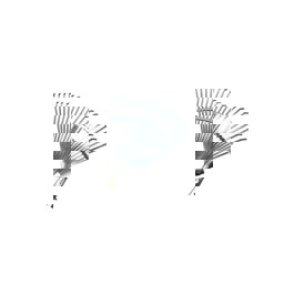 Cobra Metal Ayarlı Çim ve Yaprak Tırmığı C0003 küçük görsel