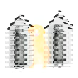 Şenyayla 5100 Plastik Kedi ve Köpek Kulübesi küçük görsel