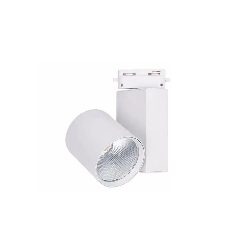 Forlife Ray Spot Armatür Beyaz Kasa 30W Fl-2272 B görseli