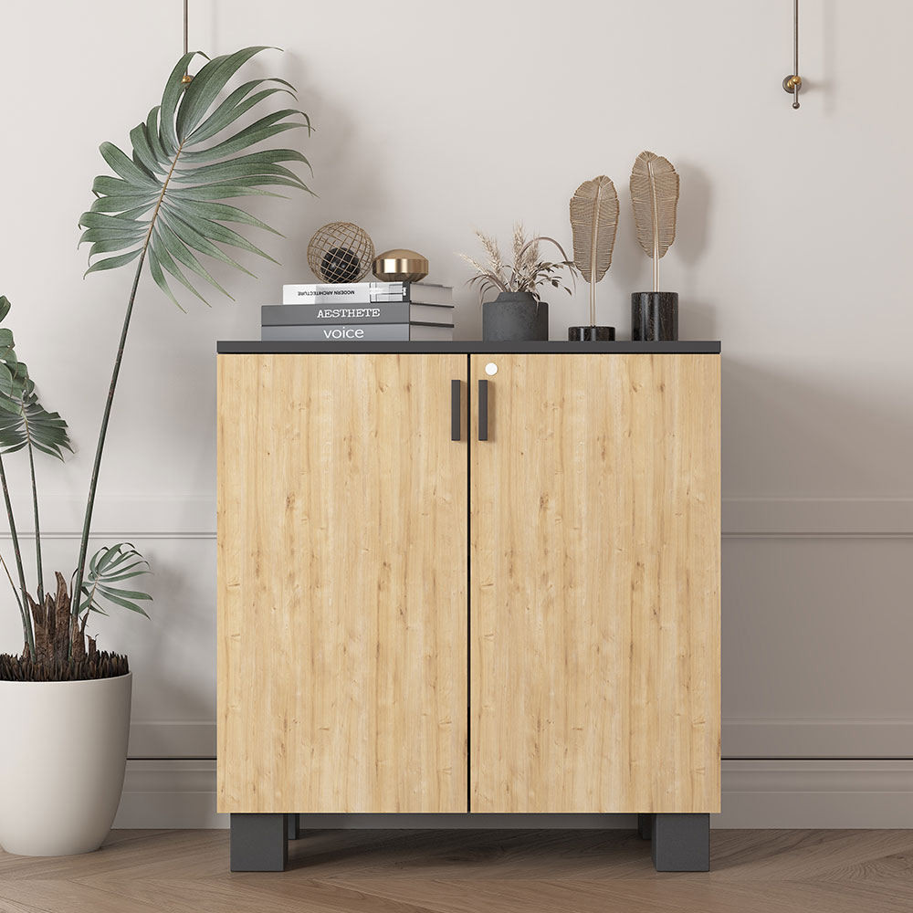 Bgr Ofis Dosya Dolabı Antrasit-Safir Meşe 8000 görseli