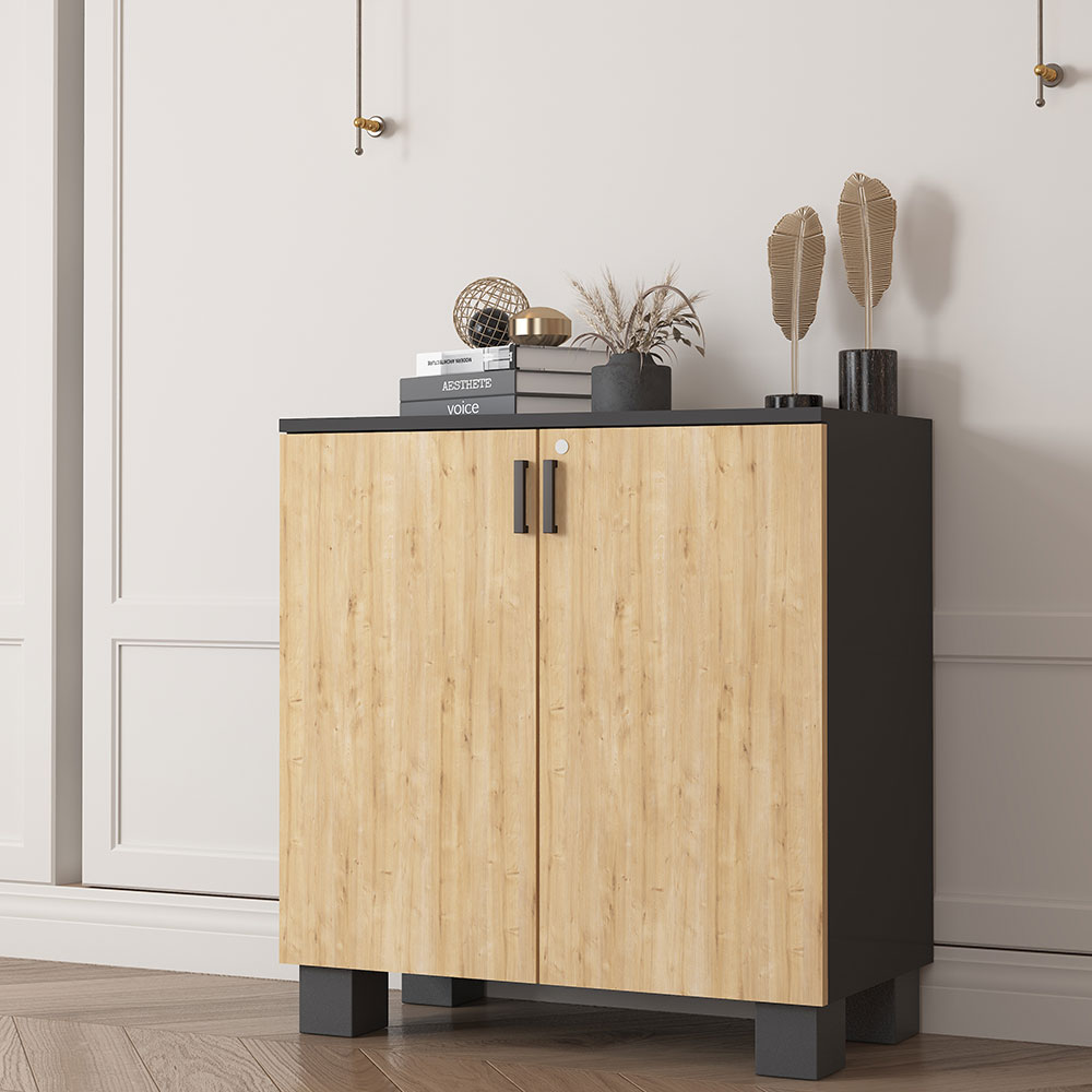 Bgr Ofis Dosya Dolabı Antrasit-Safir Meşe 8000 küçük görsel