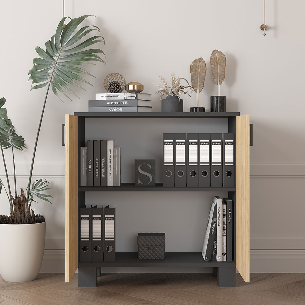 Bgr Ofis Dosya Dolabı Antrasit-Safir Meşe 8000 küçük görsel