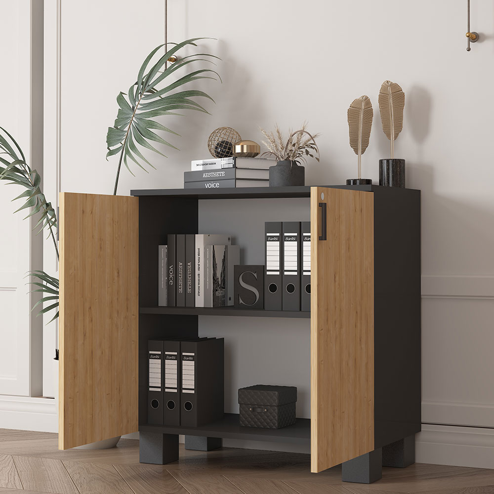 Bgr Ofis Dosya Dolabı Antrasit-Safir Meşe 8000 küçük görsel