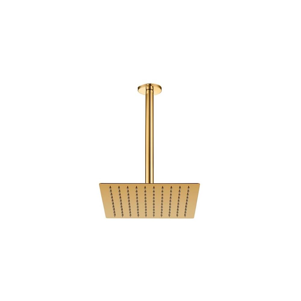 GPD Ankastre Duş Başlığı Tavandan 20x20 Cm Altın Ads17-a küçük görsel