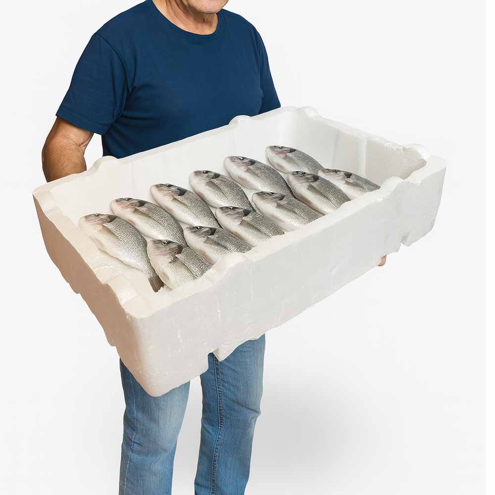 Strafor Et Ve Balık Kutusu görseli