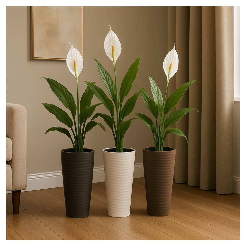 Serinova Kumsal Vazo Saksı Takım No:2 9 Lt Mocha küçük görsel