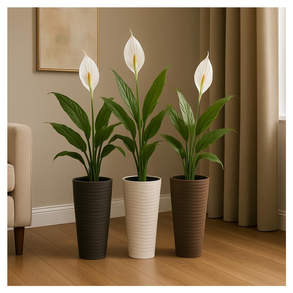 Serinova Kumsal Vazo Saksı Takım No:3 13.7 Lt Beyaz küçük görsel