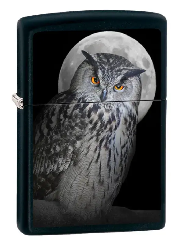 Classics Owl And Moon görseli