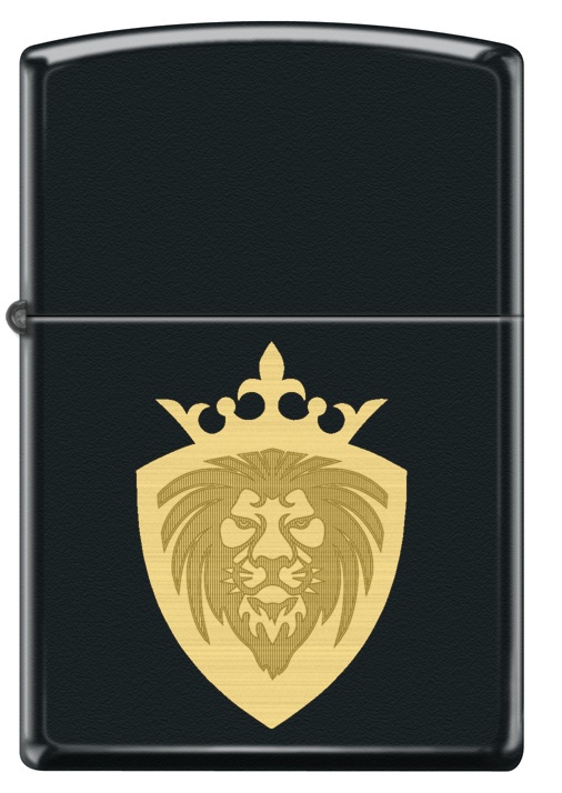 Lion Design görseli