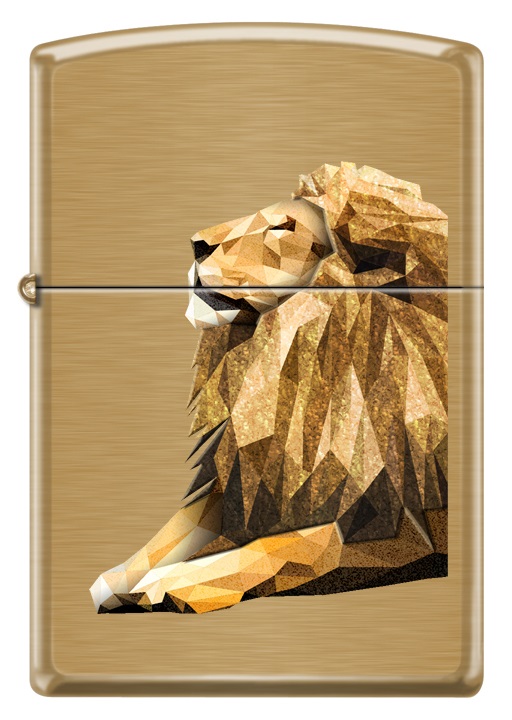 Lion Design görseli