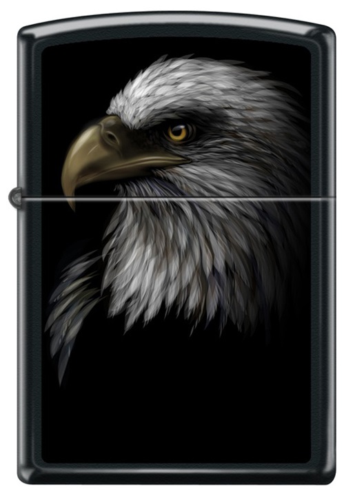 Eagle Design görseli