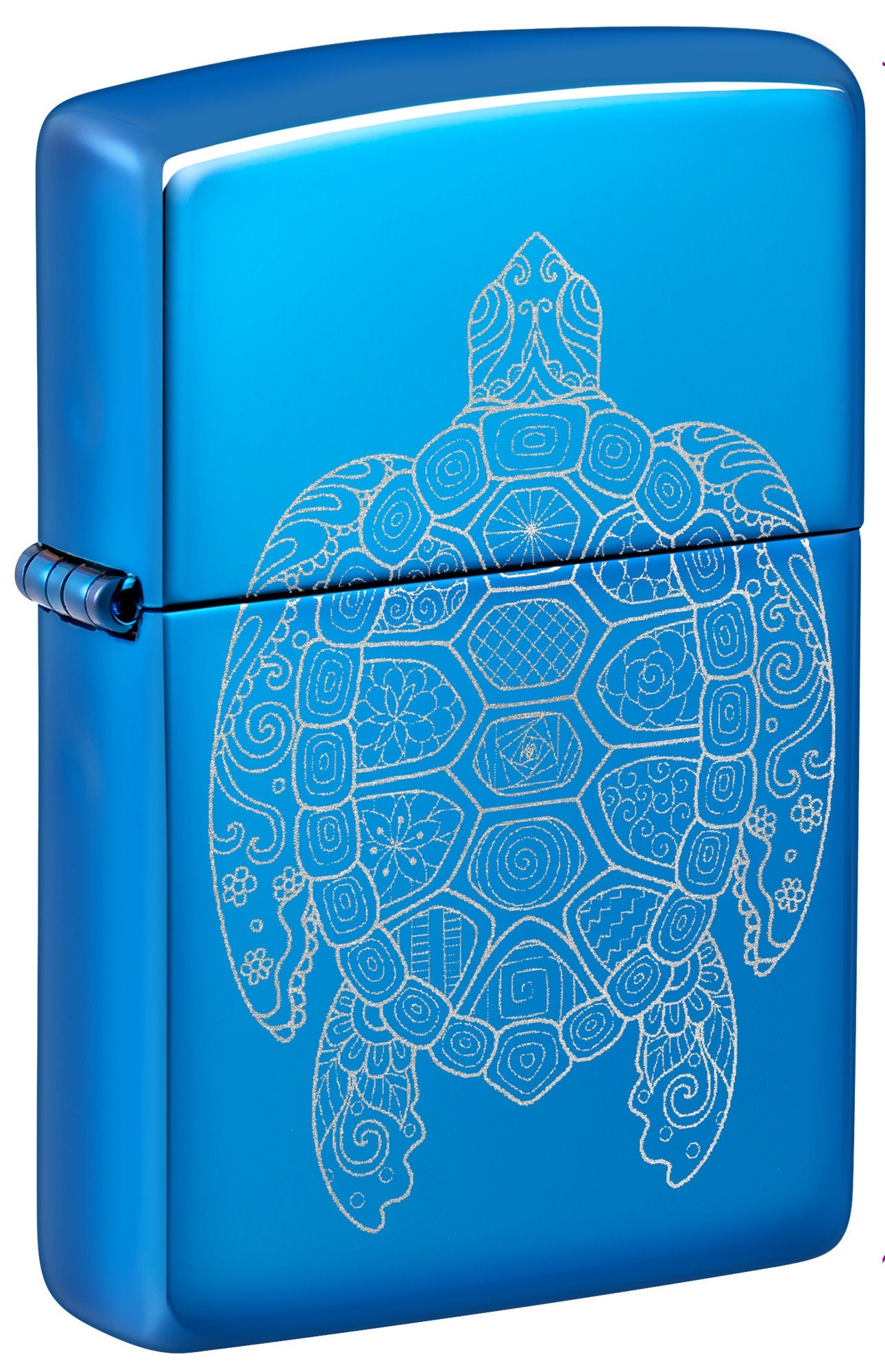 Turtle Design görseli