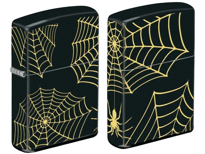 Spider - Web Design görseli