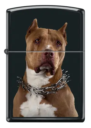 Classic Pit Bull küçük görsel