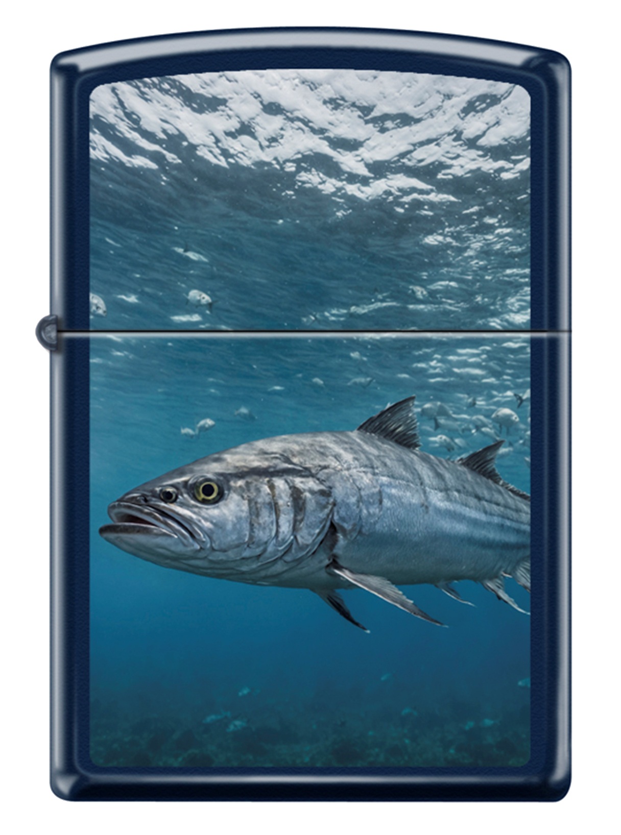 Fish Design görseli