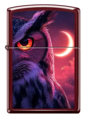 Owl And Moon Design küçük görsel