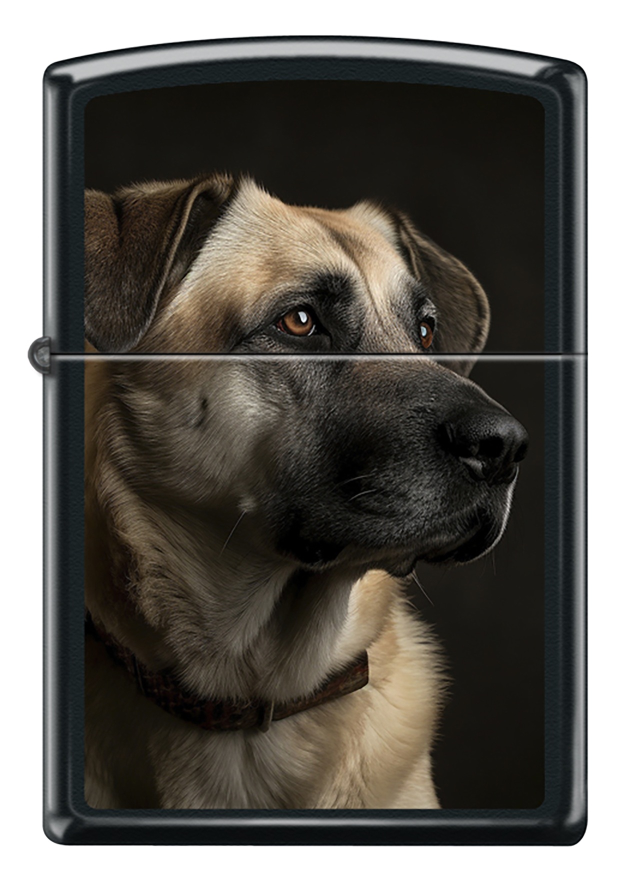 Kangal Dog Design görseli