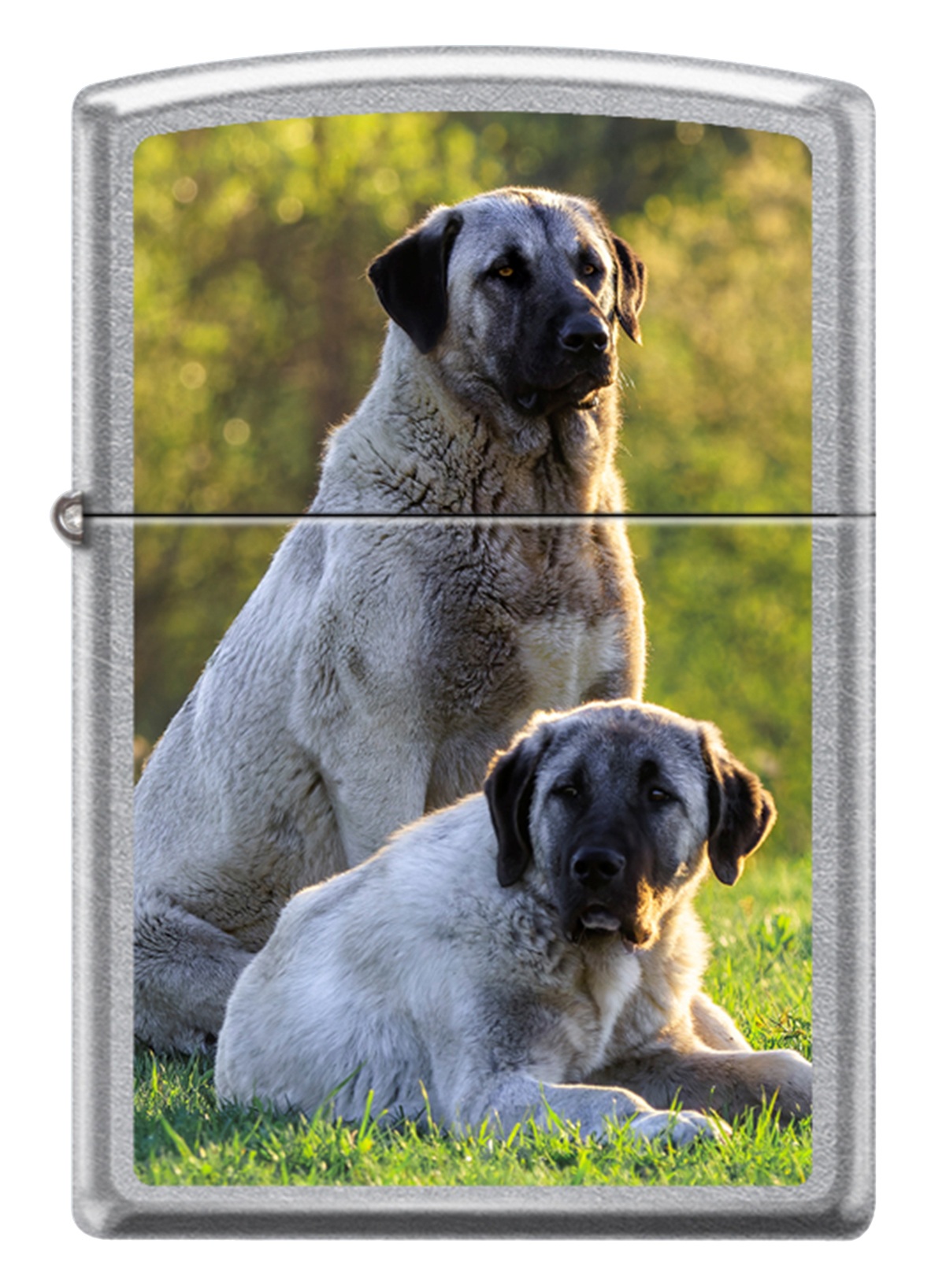 Kangal Dog Design görseli
