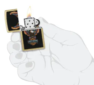 Harley-Davidson® Street Brass küçük görsel