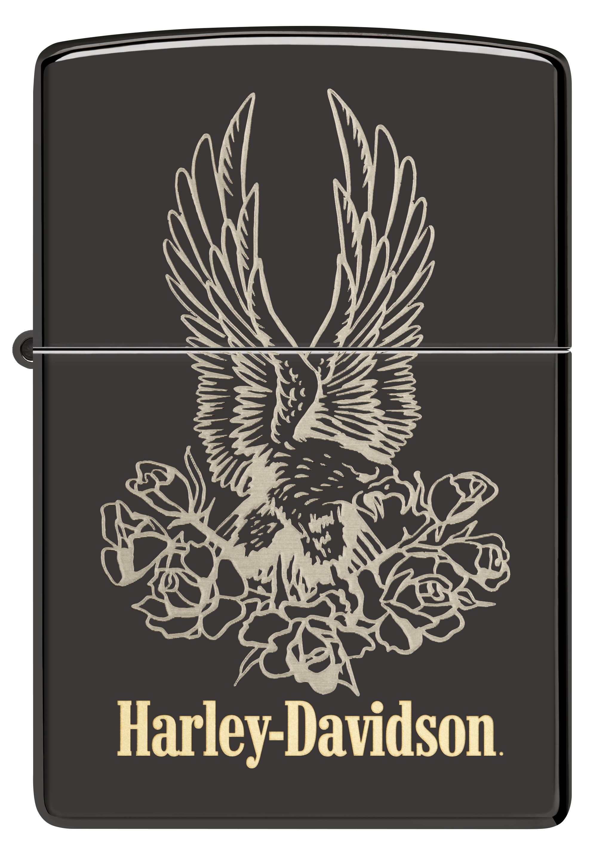 Harley-Davidson® Ebony küçük görsel