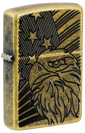 Eagle and Flag Design küçük görsel