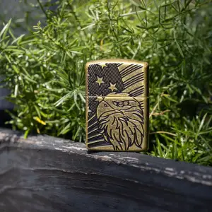 Eagle and Flag Design küçük görsel