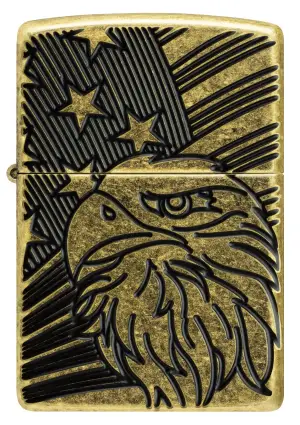 Eagle and Flag Design küçük görsel