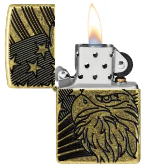 Eagle and Flag Design küçük görsel