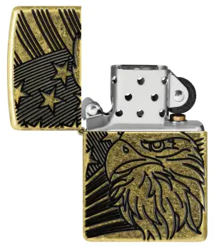 Eagle and Flag Design küçük görsel