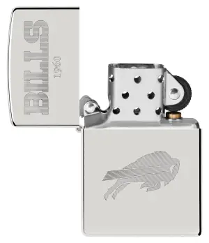 NFL Sterling Silver Collectible – AFC East küçük görsel