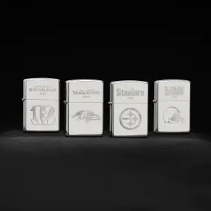 NFL Sterling Silver Collectible – AFC North küçük görsel