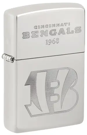 NFL Sterling Silver Collectible – AFC North küçük görsel